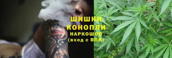 индика Балабаново