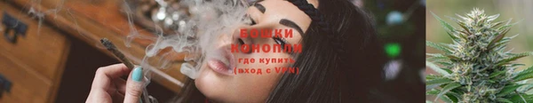 твердый Анива