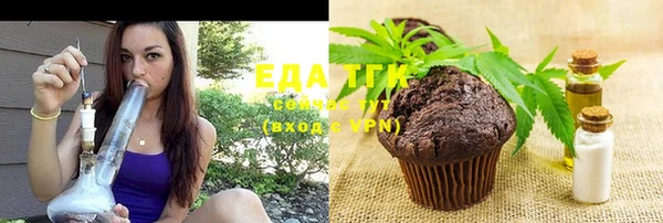 индика Балабаново